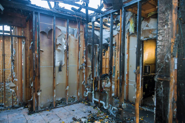 Professional Fire Damage Removal technician working in Hunt Valley, MD