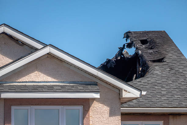 Top rated local Fire Damage Removal specialists in Hunt Valley, MD